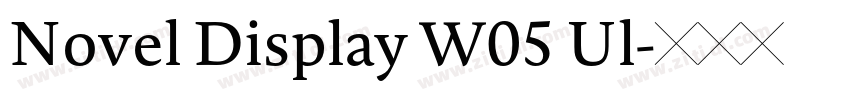 Novel Display W05 Ul字体转换